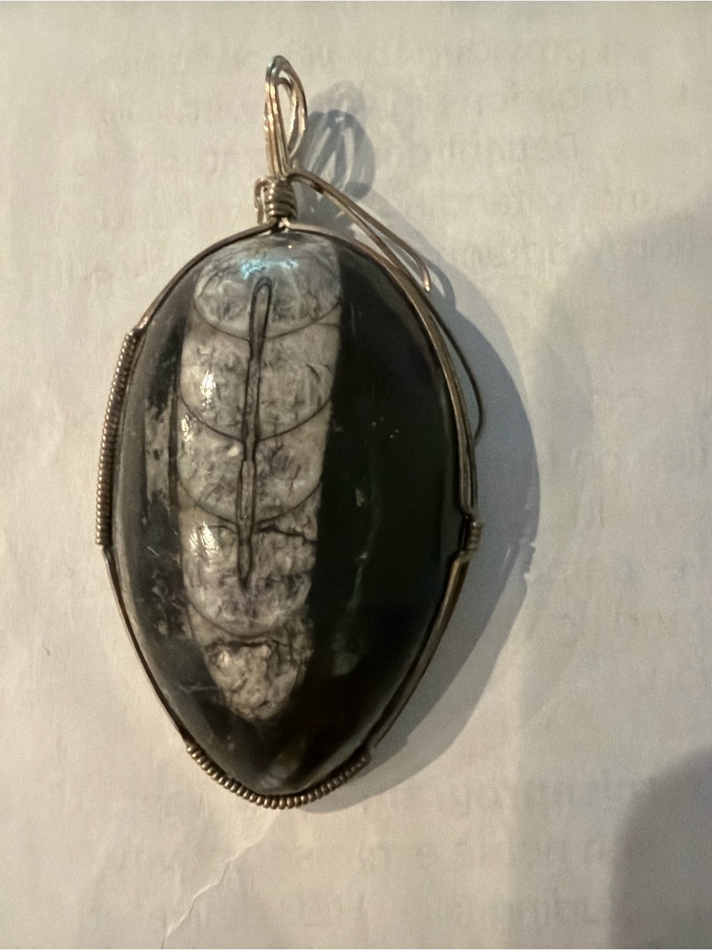 Orthoceras Fossil Pendant Silver Wire Wrapped Bezel 3”